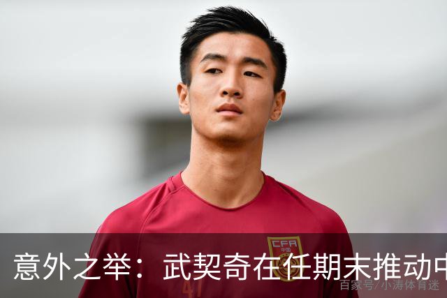 意外之举：武契奇在任期末推动中塞合作深化