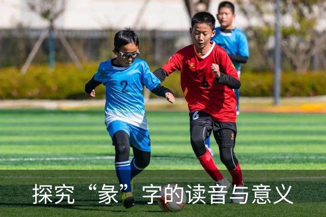 探究“彖”字的读音与意义